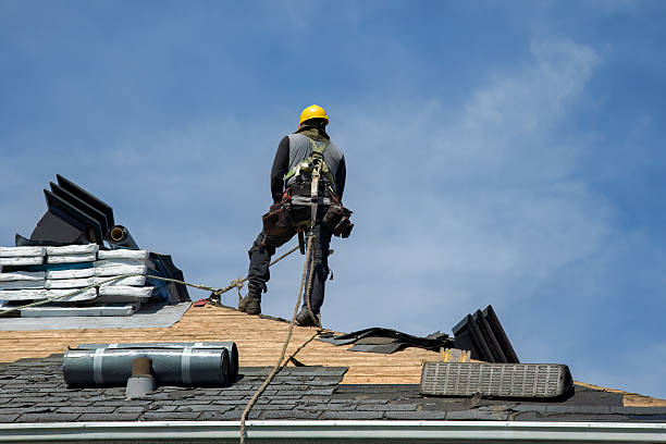 Professional Roofing technician working in Sheldon, IL